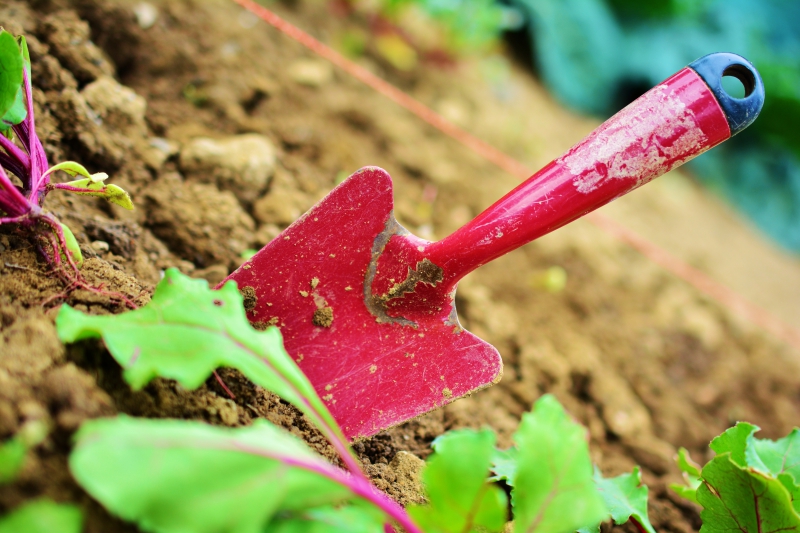 jardinerie-LA TOUR-min_gardening-2448134